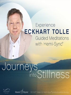 cover image of Journeys into Stillness